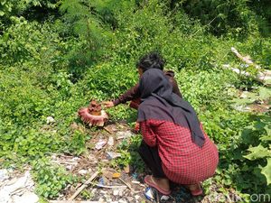 Bunga Bangkai Tumbuh di Pekarangan Rumah Probolinggo Jadi Tontonan Warga