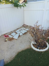 Foto menyeramkan di rumah baru