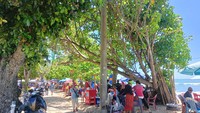 Hingga saat ini sudah ada 175 pedagang dari total 204 pedagang pasar seni yang telah direlokasi di lokasi sementara tepatnya di dekat Hotel Bali Anggrek Murni, Kuta, Badung. Foto: Triwidiyanti