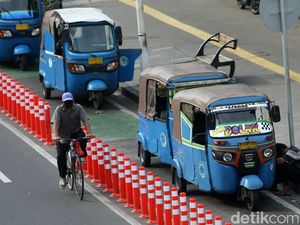 Anggota DPRD DKI Kritik Jalur Sepeda Permanen: Memperlambat