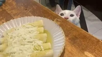 Melihat majikannya sudah bersiap makan malam, seekor kucing tanpa sudah bersiap dengan aksi jahatnya. Piring berudu makanan yang lengkap dengan topping keju mozarella ini sudah siap diserang hingga tumpah. Foto: Instagram/cursed.aesthetic