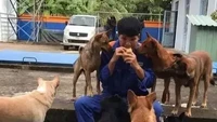 Baru saja istirahat, pekerja ini dihadapkan oleh banyak preman yang mengincarnya. Menikmati siomay untuk makan siang, dirinya sudah diincar oleh 8 ekor anjing yang ingin meminta makanannya. Foto: Instagram/cursed.aesthetic