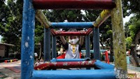 Sejumlah anak tampak asyik menikmati sejumlah wahana di RPTRA Manggis.