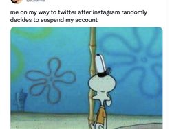 Meme Kocak Pengguna Instagram Mendadak Kena Suspend Massal