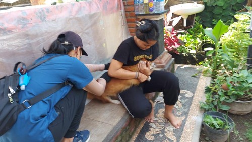 Petugas vaksinasi Hewan Penular Rabies (HPR) mendatangi rumah warga di Buleleng.
