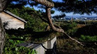 Dibangun di propertinya di kota Jecheon sekitar 120 kilometer tenggara ibu kota Seoul, bunker yang didanai pemerintah itu adalah bagian dari kampanye Lee untuk membuat warga Korea Selatan lebih serius bersiap menghadapi dampak nuklir.