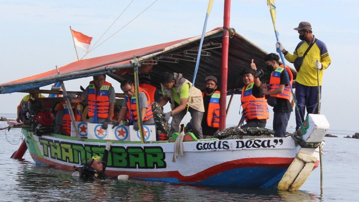 Restorasi Kerang Hijau di Laut Jakut Restorasi Kerang Hijau di Laut Jakut