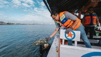 Asuransi BRI Life berkolaborasi dengan Manajemen Taman Impian Jaya Ancol menebar 3.500 kg kulit kerang hijau, untuk meningkatkan kualitas air di perairan kawasan wisata Jakarta Utara.