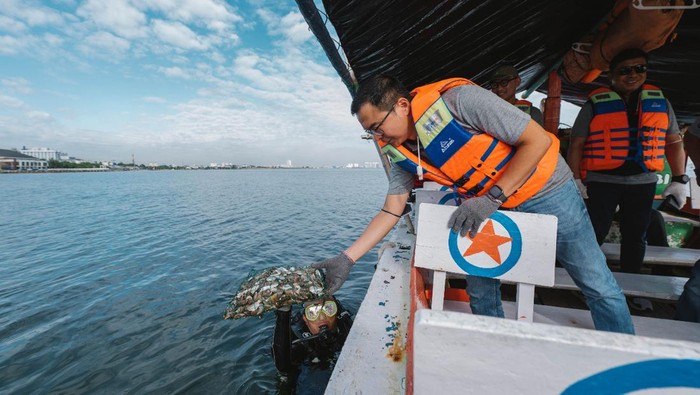 Restorasi Kerang Hijau di Laut Jakut Restorasi Kerang Hijau di Laut Jakut