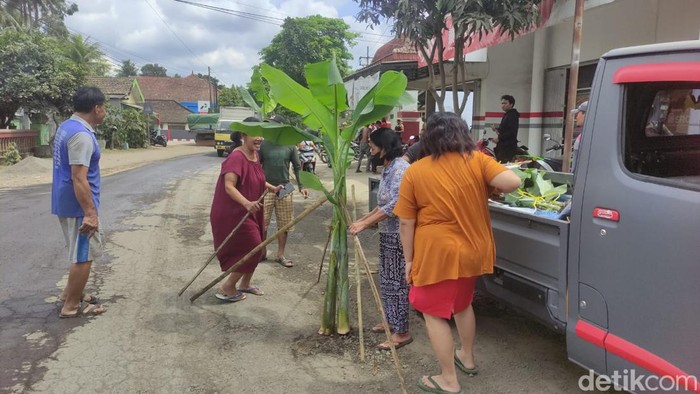 Warga Blitar menanam pohon di jalan rusak