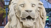 Lego Lion dibuat dengan skala 1:1, patung Lego berukuran panjang 5,80 meter, lebar 1,70 meter, tinggi 2,45 meter dan berat 1,3 ton.