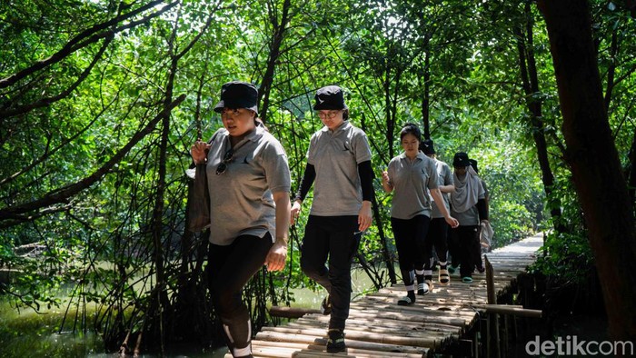 Cathay Pacific menggelar acara bertajuk Mangrove Tree Planting Activity demi mengatasi masalah perubahan iklim dan restorasi ekologi.