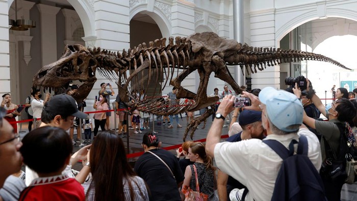 Melihat Perakitan Fosil T-Rex yang Dipamerkan di Singapura Shen the T. rex, a 1.4 tonne Tyrannosaurus Rex dinosaur skeleton that is being offered for auction by Christie's, is assembled for display at the Victoria Theatre & Concert Hall in Singapore October 27, 2022. REUTERS/Edgar Su