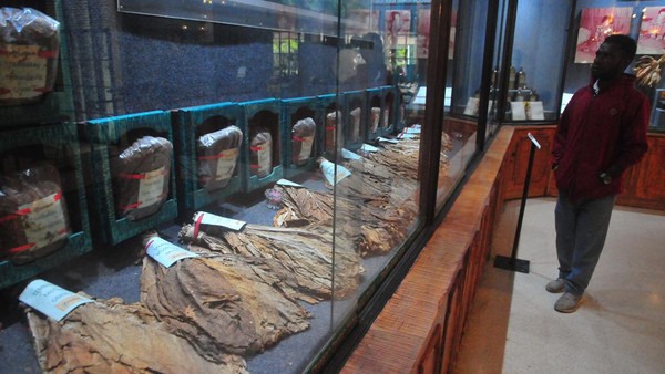 Di museum ini, pengunjung dapat melihat bahan-bahan pembuatan rokok. Museum ini merupakan satu-satunya musem rokok yang ada di Indonesia.