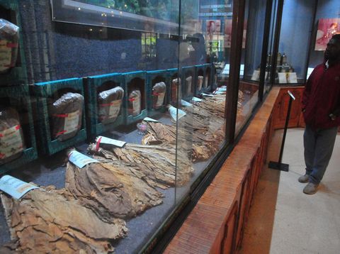 Di museum ini, pengunjung dapat melihat bahan-bahan pembuatan rokok. Museum ini merupakan satu-satunya musem rokok yang ada di Indonesia.