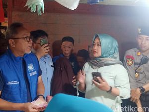 Cek Harga di Pasar Wonosobo, Mendag Zulhas Sebut Daging Ayam Terlalu Murah