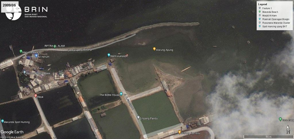 Perkembangan mangrove di Pantai Marunda