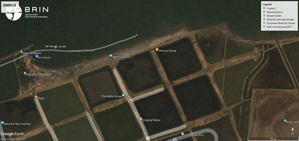 Perkembangan mangrove di Pantai Marunda