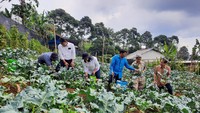 Program pembinaan UMKM pertanian hortikultura ini melibatkan 20 petani yang telah mengikuti program pembinaan dasar pemberdayaan UMKM Hortikultura sejak Agustus hingga Oktober 2022, program dasar tersebut antara lain Pelatihan Basic Mentality, Pelatihan & Pendampingan Pembukuan Sederhana serta Pelatihan Teknis Sarana dan Prasarana Pertanian.
