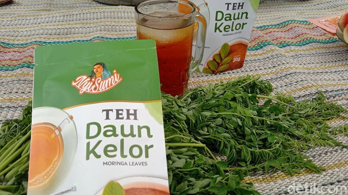 Proses pengolahan teh daun kelor di Indramayu