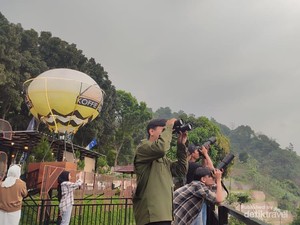 Hunting Foto ke Puncak Sempur: Motret Burung Pemangsa