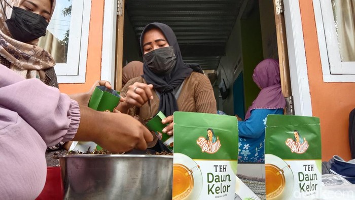 Teh daun kelor buatan emak-emak di Indramayu.