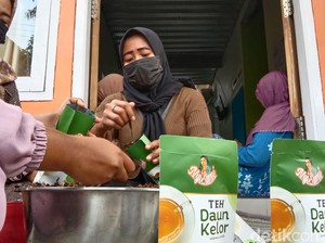 Keren! Teh Daun Kelor Buatan Indramayu Tembus Pasar Asia Timur