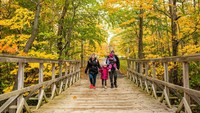 Ketika musim gugur tiba, sebagian besar dedaunan akan berubah menjadi warna kuning atau oranye dan kemudian akan terjatuh dari pohonnya. Perubahan warna inilah yang seringkali membuat kota Quebec terlihat sangat menakjubkan.