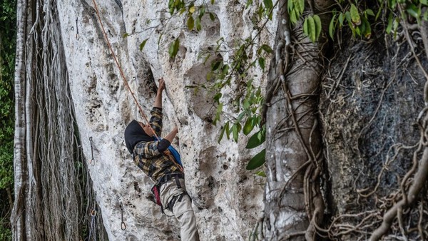 Tebing ini memiliki tinggi sekitar 20 meter dan lebar sekitar 30 meter. (Andry Denisah/Getty Images) Â Tebing ini memiliki tinggi sekitar 20 meter dan lebar sekitar 30 meter. (Andry Denisah/Getty Images) Â