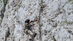 Adu Adrenalin Panjat Tebing 20 Meter di Konawe, Berani?
