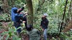 Potret Ular Naga yang Hidup di Gunung Sanggabuana Karawang