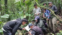 Di sini erdapat 151 jenis burung dari 52 family juga sudah teridentifikasi oleh tim SCF pada tahun ini. SCF juga merilis video macan tutul Jawa dan macan kumbang (Panthera pardus melas) yang berhasil terekam kamera trap yang dipasang tim SCF di Pegunungan Sanggabuana dalam kurun waktu satu tahun. (Foto: dok. Sanggabuana Conservation Foundation)