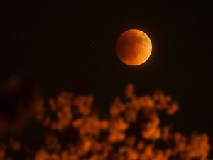 Gerhana Bulan Total Sore Ini, Sayang Banyak Daerah di Jatim Diprediksi Hujan