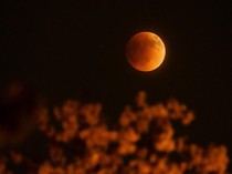 Gerhana Bulan Total 3 Maret 2026 Bisa Dilihat Jam Berapa Hari Ini? Cek, Yuk!