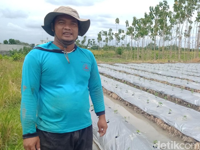 Eksan Hartanto, pendiri sanggar Rojolele Delanggu, Klaten, Senin (1/11/2022).