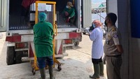 PT Perikanan Indonesia Cabang Makasar mengirimkan 17,9 ton produk chepalopod ke Negeri Paman Sam, Amerika Serikat dengan kapitalisasi US$177.500. Tiga jenis komoditas yang diekspor yakni Octopus Steam, Whole Cleaned Cuttlefish dan Ball Type Octopus. PT Perindo memasok permintaan dari perusahaan pedagangan ikan di negara bagian Georgia, USA.