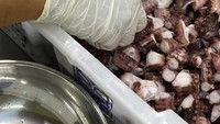 Chepalopod adalah moluska tingkat tinggi yang memiliki kaki di kepalanya. Contoh dari jenis chepalopod antara lain gurita, cumi dan sotong.