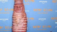 Nah, ini sih ratunya yakni Heidi Klum yang pada tahun ini menjadi Worm. Dok. Instagram