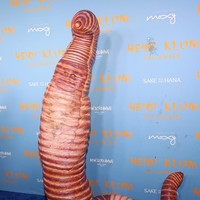 Dua tahun absen karena pandemi COVID-19, pesta Halloween terakbar besutan supermodel senior Heidi Klum ini hadir lagi. sebagai tuan rumah, ia memastikan penampilannya lebih heboh dari para tamu. Maka untuk pesta yang digelar New York City, Senin (31/10/2022), ini, ia mewujud sebagai cacing. (Foto: Getty Images/Taylor Hill)