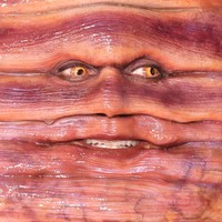 Penampilan Heidi Klum tampak begitu realistis dengan bagian kepala yang melengkung, lengkap dengan ekor panjang. Wajah Heidi bahkan terkamuflase oleh lekukan-lekukan dari kostum yang terbuat prostetik itu. (Foto: Getty Images/Taylor Hill)