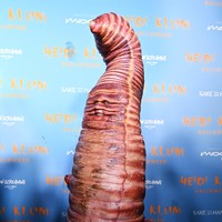 Karena ini Halloween, jadi harus ada faktor yang menyeramkan, juga menjijikkan, tambah Heidi. Untuk mewujudkan imajinasinya, perempuan 49 tahun tersebut kembali berkolaborasi dengan makeup artist Mike Marino dan timnya di Prosthetic Renaissance yang berisi para pakar special effects. (Foto: Getty Images for Heidi Klum/Noam Galai)