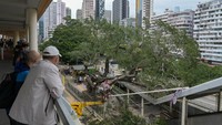 Sebuah pohon berukuran besardi Hong Kong tumbang, Selasa (1/11/2022). Terlihat warga menyaksikan pohon yang tumbang di dekat balkon.