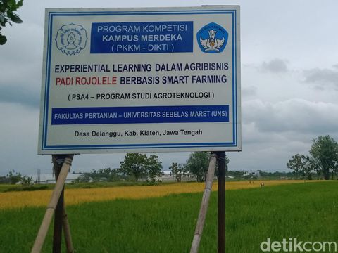 Sanggar Rojolele di Dusun Kaibon, Desa Delanggu, Kecamatan Delanggu, Klaten, Senin (1/11/2022).