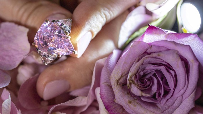 A model holds a 18,18 carat pink diamond called 