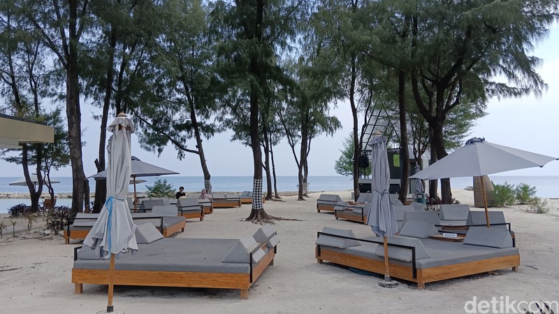 Poco akan mendatangkan ponsel anyar dari keluarga besar M Series. Bertajuk Poco M5 dan Poco M5s, keduanya memiliki kualitas jepretan yang cukup memukau.