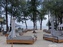 Begini Hasil Jepretan Poco M5 Series