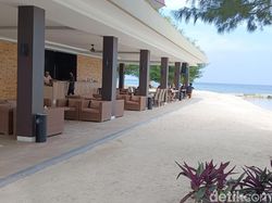 Begini Hasil Jepretan Poco M5 Series