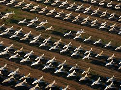 Wow! Ini Dia Penampakan Kuburan Pesawat Terbang Terbesar di Dunia