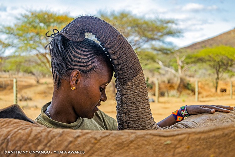 Mkapa African Wildlife Photography Awards 2022
