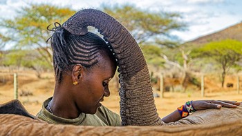 Juara kategori Pahlawan Konservasi Afrika: Anthony Ochieng Onyango dari Nairobi, Kenya.  Pengasuh Mary Langees dan Anak Yatim Gajah Afrika berlokasi Suaka Gajah Reteti, Samburu, Kenya. Foto: Mkapa Awards